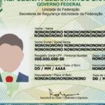 carteira_de_identidade_nacional_1-696×416